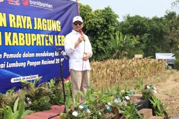 Sukseskan swasembada pangan, Wagub Banten perkuat keterlibatan pemuda