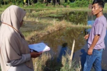 Kantor Pertanahan Pasaman laksanakan pemeriksaan tanah di Nagari Aia Manggih