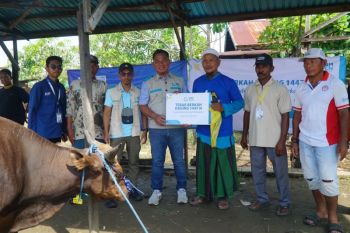 YBM PLN Kalselteng hadirkan kebahagiaan Idul Adha bagi warga Tinggiran Baru setelah 24 tahun