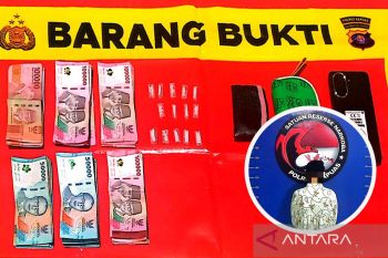 Nekat edarkan sabu, IRT di Kapuas Murung ditangkap polisi