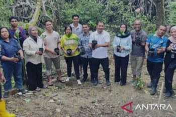 Rutan Ambon tanam mangrove sambut Hari Lingkungan Hidup Sedunia jaga keberlangsungan kawasan pesisir