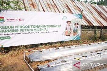 Perkuat ketahanan pangan, Tangerang gencarkan sistem pertanian terpadu