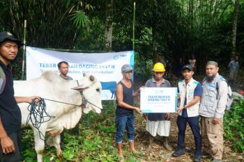 Tebar berkah daging kurban YBM PLN UID Kalselteng hadir di pedalaman Meratus