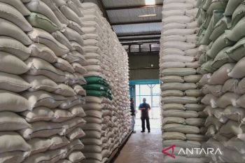 Bulog Sumut tambah gudang beras guna perkuat ketahanan pangan