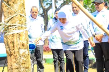 Khofifah ajak masyarakat perkuat gerakan lingkungan berkelanjutan