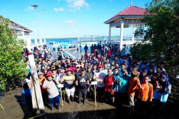 Gubernur bersama pelajar Sulsel tanam 1.000 Mangrove di Kepulauan Selayar