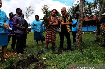 Pemprov ajak generasi muda Papua Pegunungan tanam pohon jaga keseimbangan alam