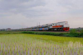 KAI Operasikan 39 Trainset Stainless Steel New Generation di Berbagai Relasi Kereta Api