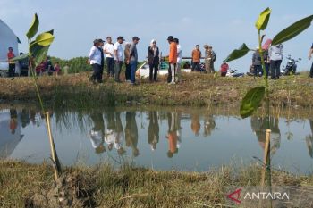 Pemkab Demak menanam 1.500 bibit mangrove untuk cegah rob