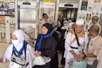 PPIH berangkatkan 14 kloter jamaah haji dari Makkah ke Madinah
