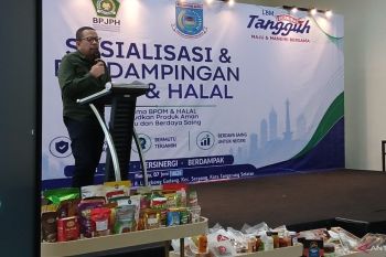Pemerintah terus dorong penguatan UMKM untuk kestabilan ekonomi