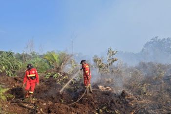 Sumsel tetapkan siaga darurat karhutla hingga November 2026