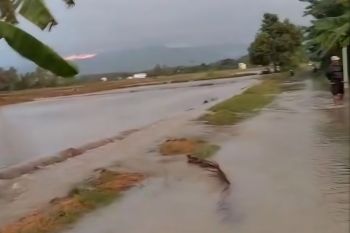 Banjir rendam lahan pertanian pada dua desa di Kabupaten Parigi Moutong
