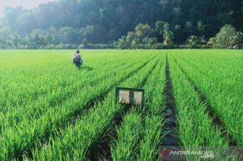 Pemprov Sulut terus berupaya tingkatkan kesejahteraan warga