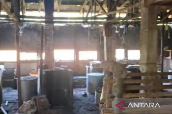 Kopti Cianjur catat kenaikan kedelai saat ini lebih terkendali