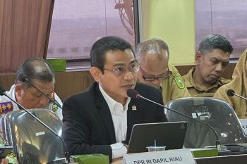 Legislator dorong kepala daerah maksimalkan Forum DPR RI akses APBN