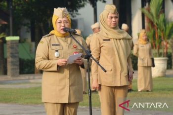 https://cdn.antaranews.com/cache/350x233/2026/06/08/1000364945.jpg