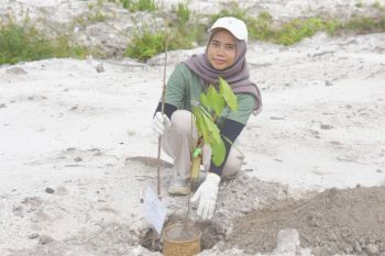 Srikandi PLN UPP KLB 3 dukung pelestarian habitat orang utan
