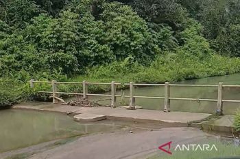 600 ha sawah di Nagan Raya kekeringan akibat saluran irigasi dangkal