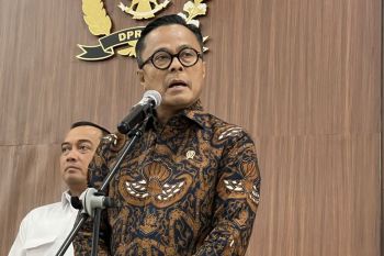 DSI not export broker, only provides service fees: Danantara