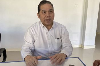 Persediaan Daging Ayam Ras Mulai Normal