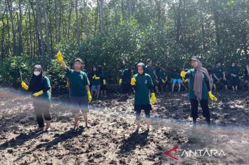 HLH 2026, 50 difabel netra ikuti penanaman mangrove