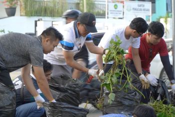 PLN UID Kalselteng gelar aksi bersih sampah dan tanam pohon di Barabai