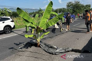 BMKG: Gempa M 7,7 di Mindanao-Filipina akibat subduksi lempeng