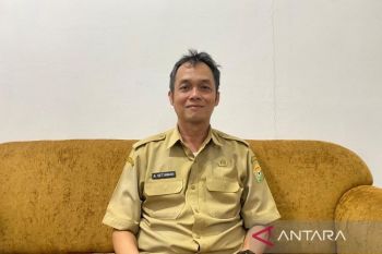 ESDM siapkan skema jarungan mandiri untuk PLTS di wilayah kepulauan Sultra