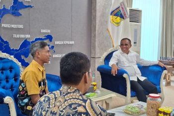 PLN-Pemprov Sulteng target 100 persen Desa Berlistrik di 2029