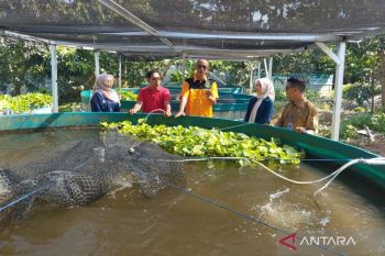 UIN Kudus-Ngramen Farm kembangkan agro pendidikan budidaya udang galah