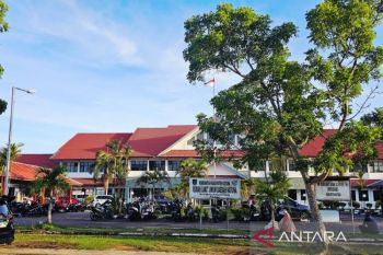 Gajah bunting di Bengkalis mati karena racun