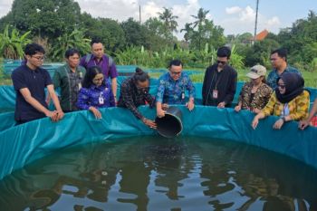 Denpasar serahkan bantuan sapras untuk Kelompok Pembudidaya Ikan (Pokdakan)