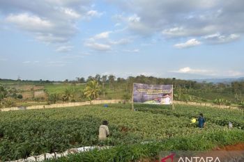 Lapas Warungkiara kelola lahan tidur 7 hektare dukung ketahanan pangan
