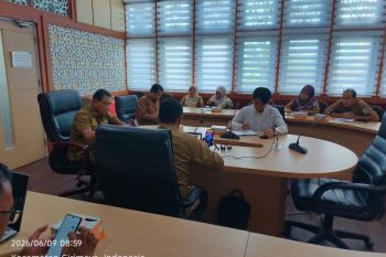 Pemkot Pangkalpinang percepat legalitas produk olahan nanas Tuatunu untuk pasar nasional