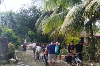 Pusdalops Sumut catat 3.406 KK terdampak banjir di Kabupaten Langkat