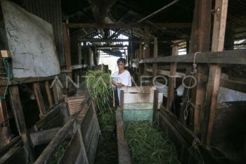 Begini realisasi penyaluran dana desa di Aceh hingga tengah tahun 2026