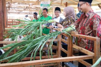 Baznas dirikan Balai Ternak untuk berdayakan mustahik di Kendal