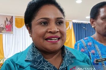TP PKK Jayawijaya implementasi 10 Program Pokok di 328 kampung