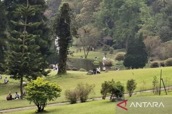 Kebun Raya Cibodas catat angka kunjungan naik 30 persen