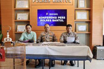 Polisi meringkus pencuri burung seharga jutaan rupiah di Bantul