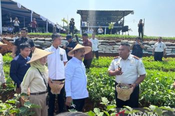 Menteri Imipas tinjau sarana asimilasi dan edukasi di Lapas Warungkiara