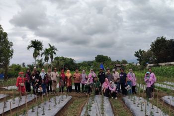 Petani Banyuasin adopsi teknologi Proliga dan pemasaran digital