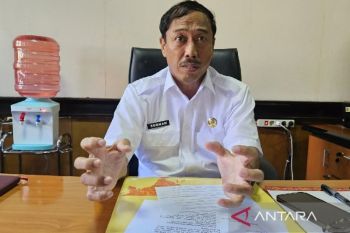 Bappenda Papua catat penerimaan Rp5,1 miliar dari insentif pajak