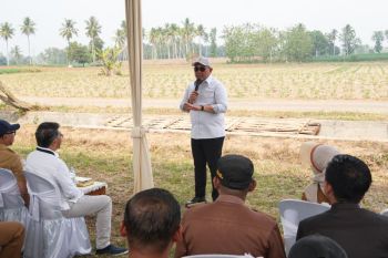 Indonesia advances integrated biofuel plant project in Lampung