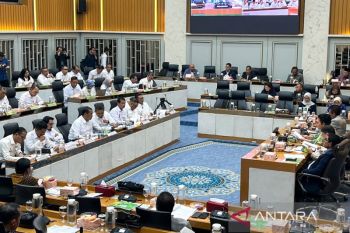 Indef: Tambahan anggaran Kementan perlu difokuskan di sektor produksi