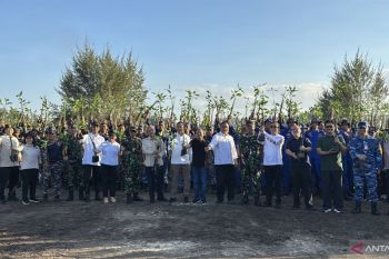 Menteri LH intensifkan tanam mangrove untuk perbaiki keadaan alam