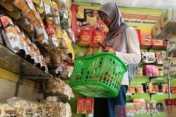 Menteri UMKM: Pemerintah bidik 10 juta wirausaha baru hingga 2029