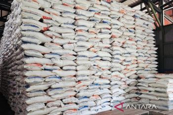 Bulog Natuna tambah stok beras 1.000 ton