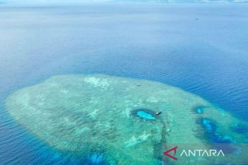 HSNI Dompu mengingatkan ancaman penangkapan ikan di Teluk Saleh